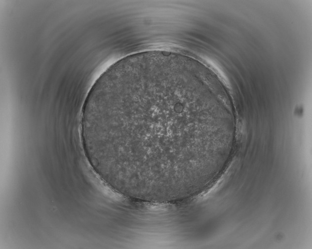 X0000091650899200709060956