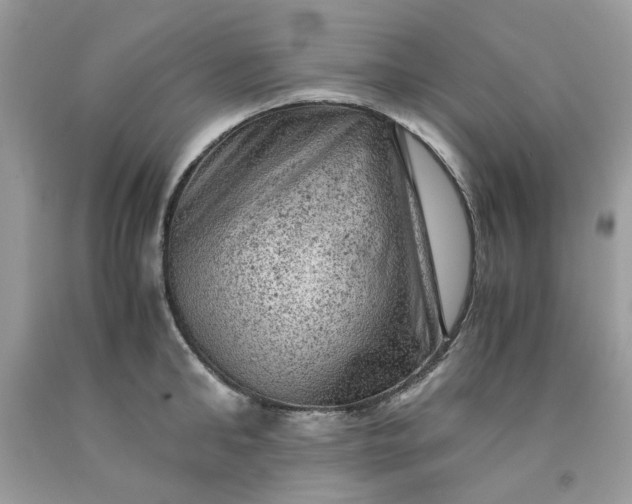 X0000091650902200709060956