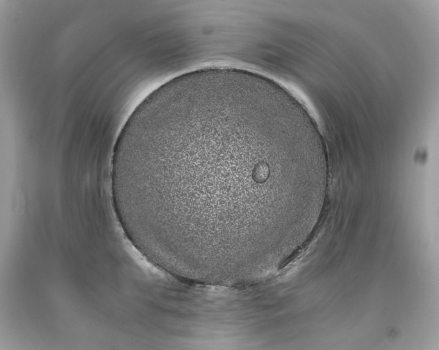 X0000091650903200709060956