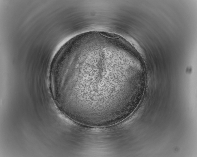 X0000091650904200709060956