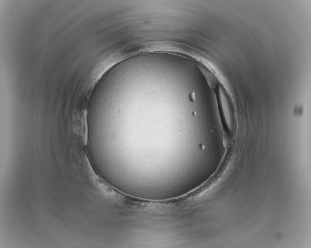 X0000091650905200709060956