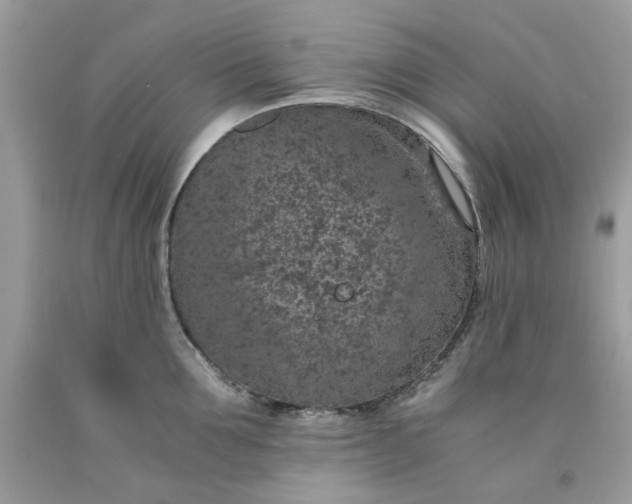 X0000091650907200709060956