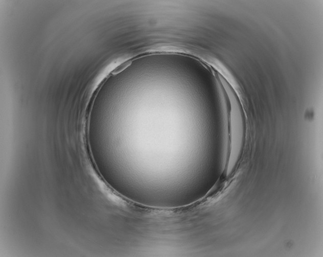 X0000091650909200709060956