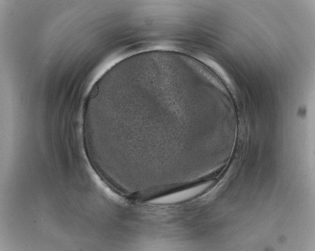 X0000091650910200709060956