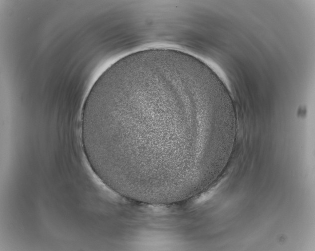 X0000091650911200709060956