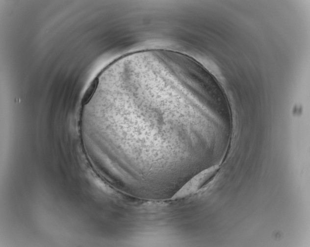 X0000091650912200709060956