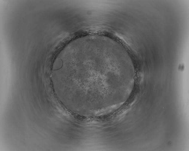 X0000091650913200709060956