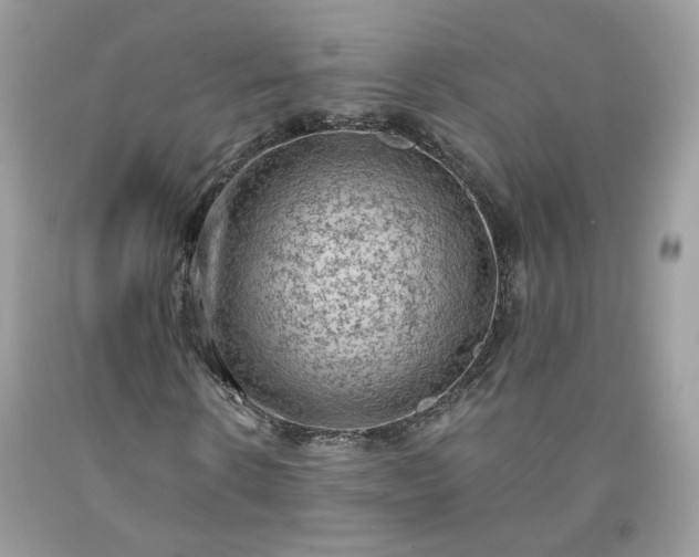 X0000091650914200709060956