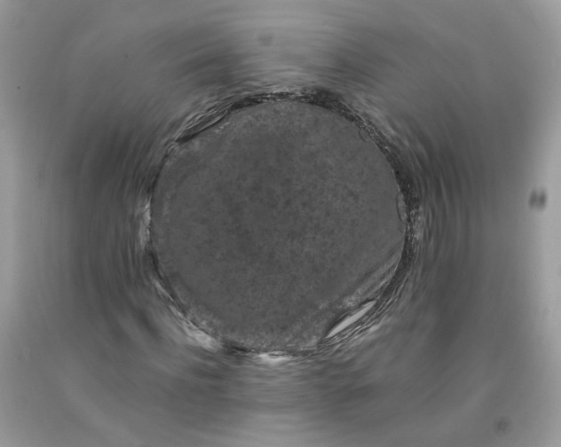 X0000091650916200709060956