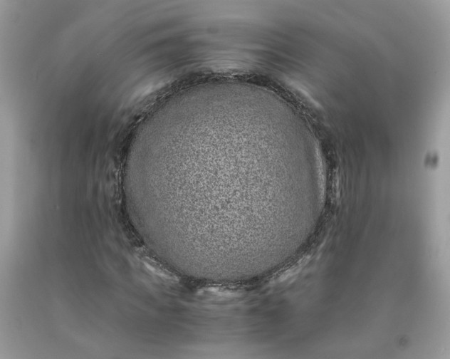 X0000091650917200709060956