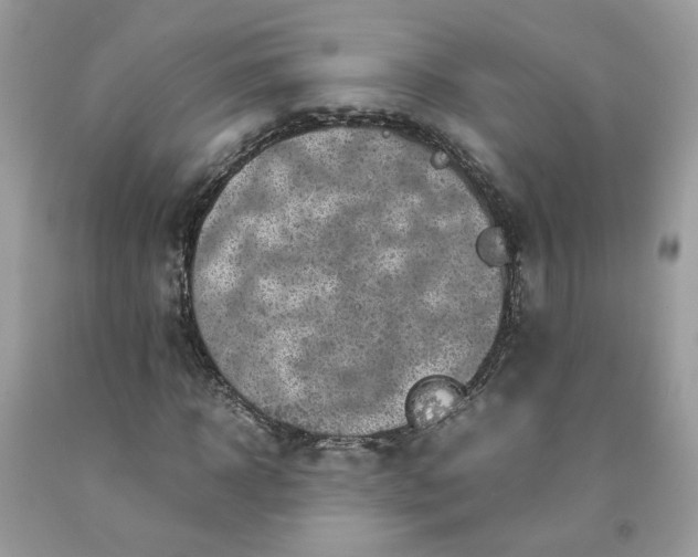 X0000091650918200709060956