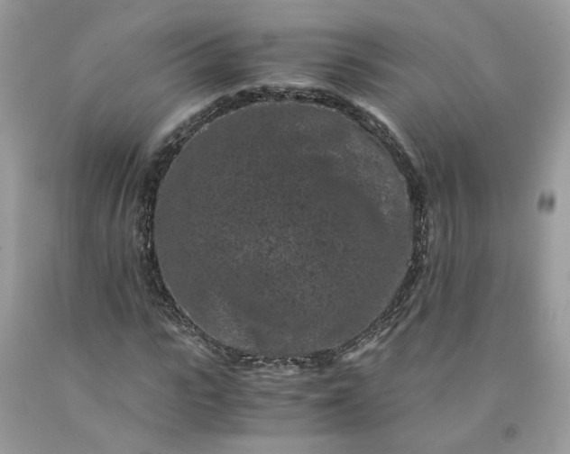 X0000091650919200709060956