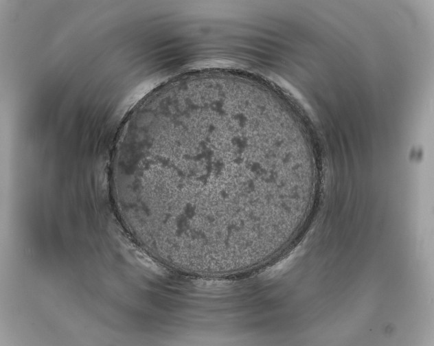 X0000091650921200709060956