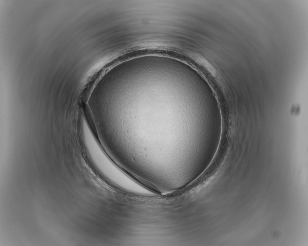 X0000091650922200709060956