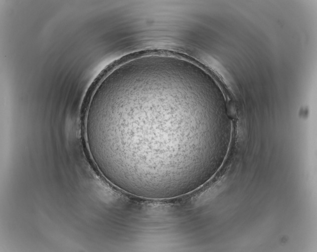 X0000091650924200709060956