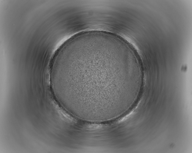 X0000091650925200709060956