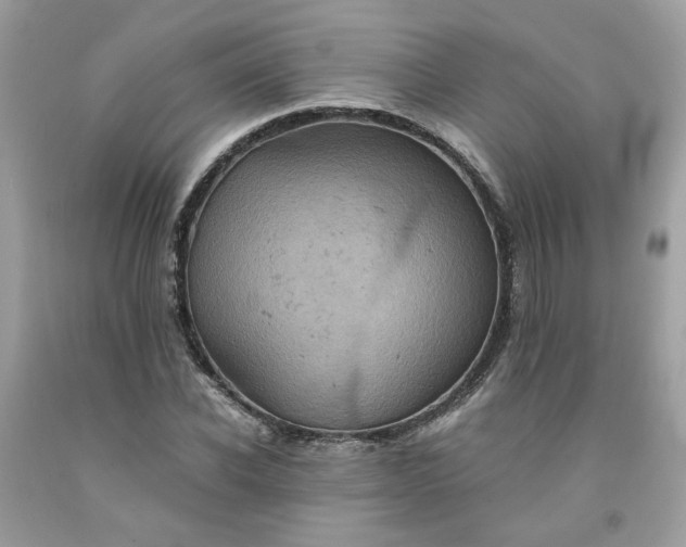 X0000091650926200709060956