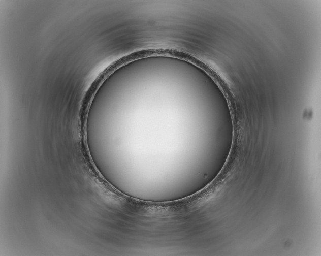 X0000091650927200709060956