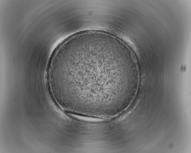 X0000091650928200709060956