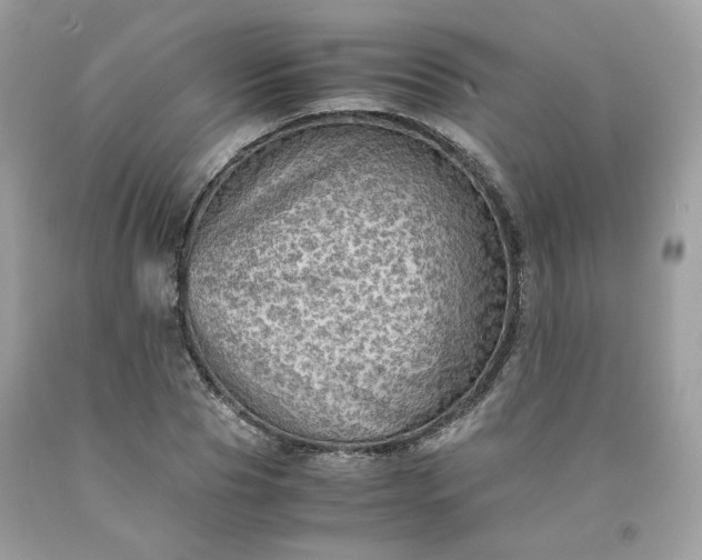 X0000091650929200709060956