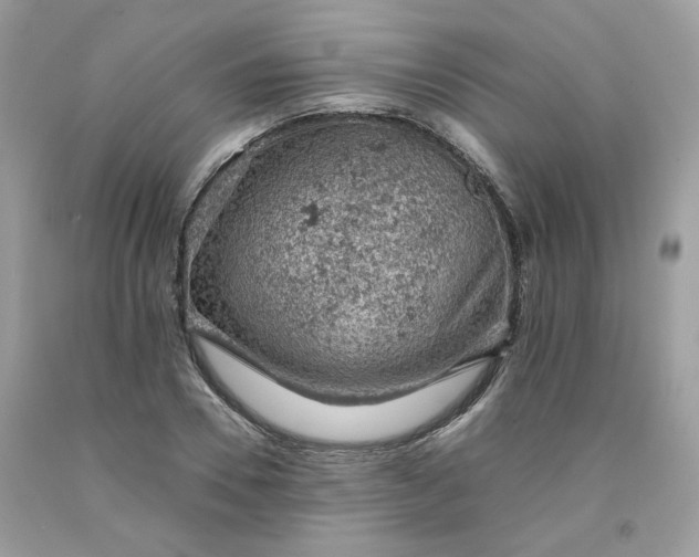 X0000091650930200709060956