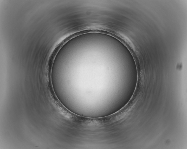 X0000091650931200709060956