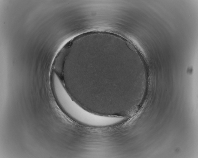 X0000091650932200709060956