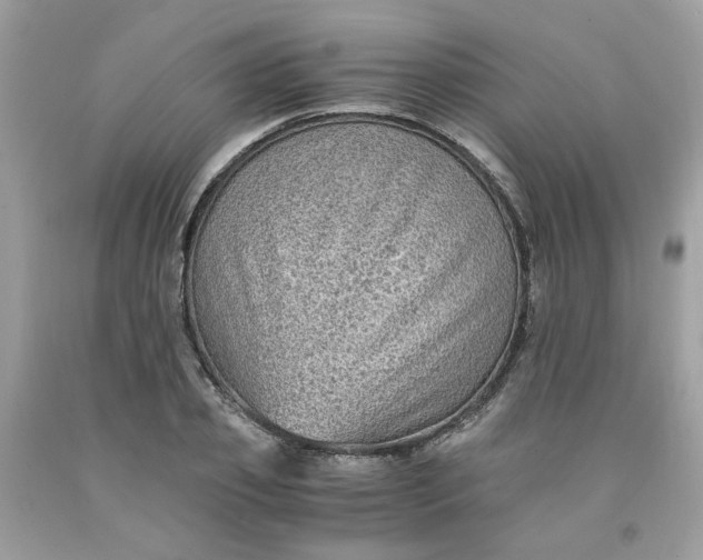 X0000091650933200709060956