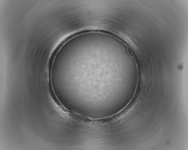 X0000091650934200709060956