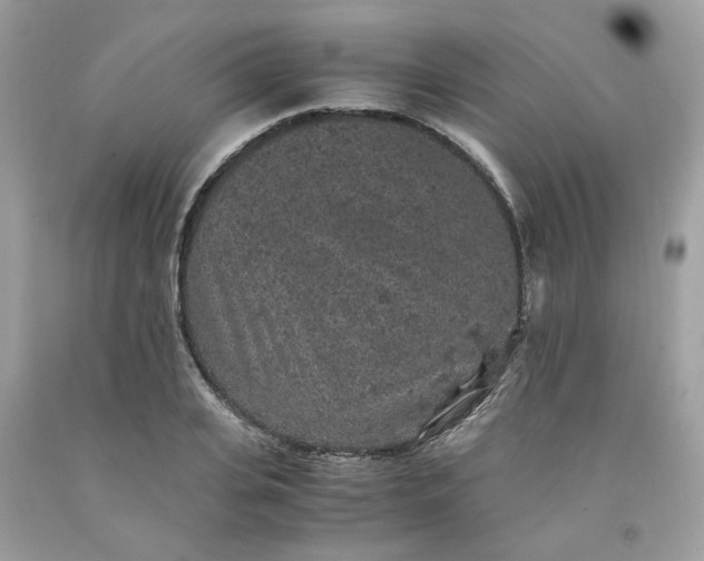 X0000091650935200709060956