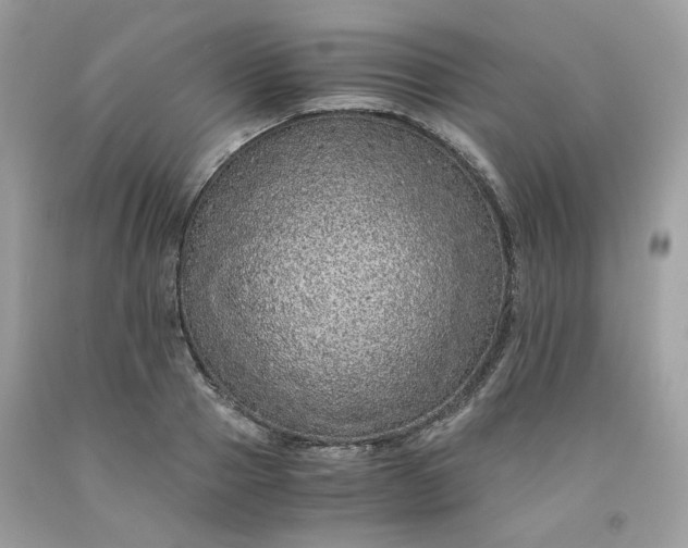 X0000091650937200709060956