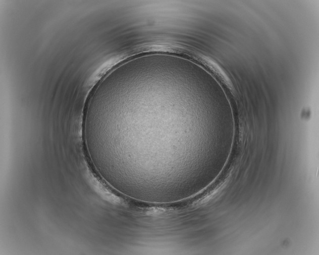 X0000091650938200709060956