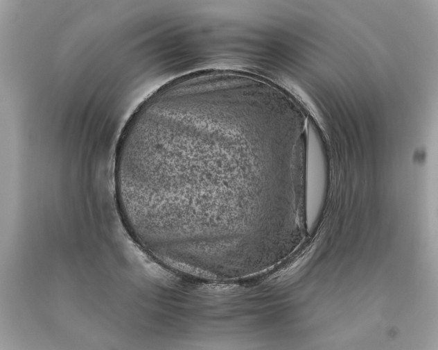 X0000091650939200709060956