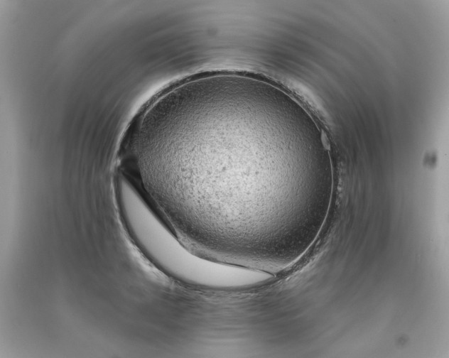 X0000091650942200709060956