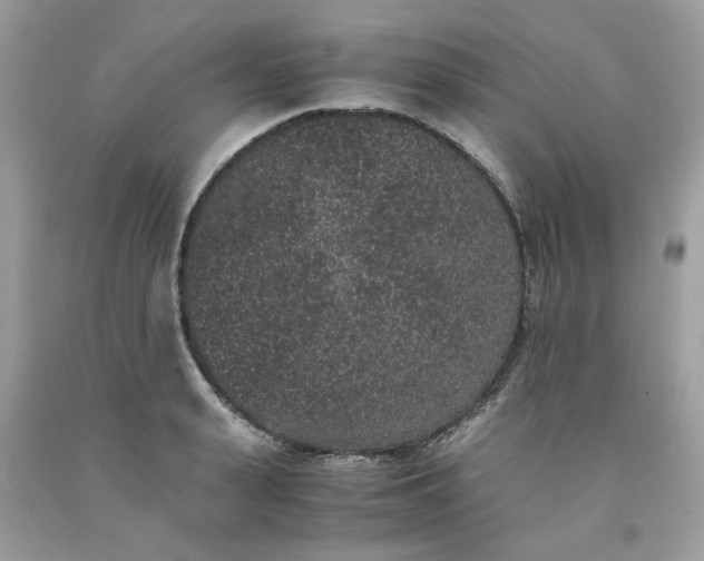 X0000091650943200709060956