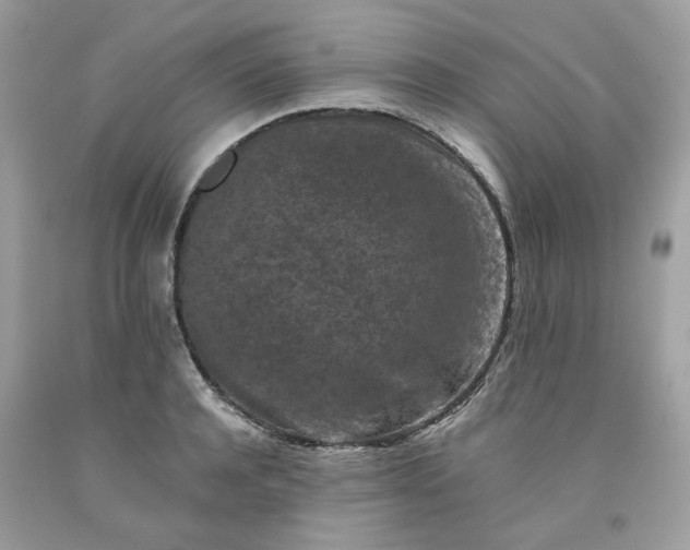 X0000091650944200709060956