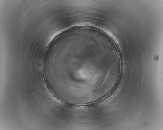 X0000091650945200709060956