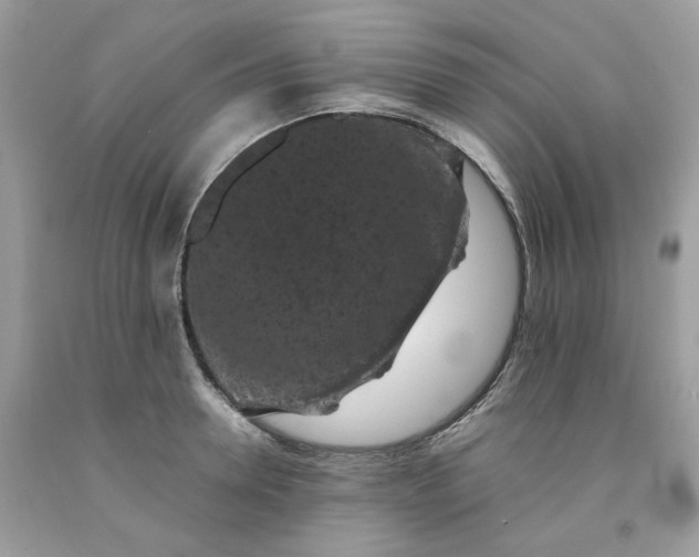 X0000091650946200709060956