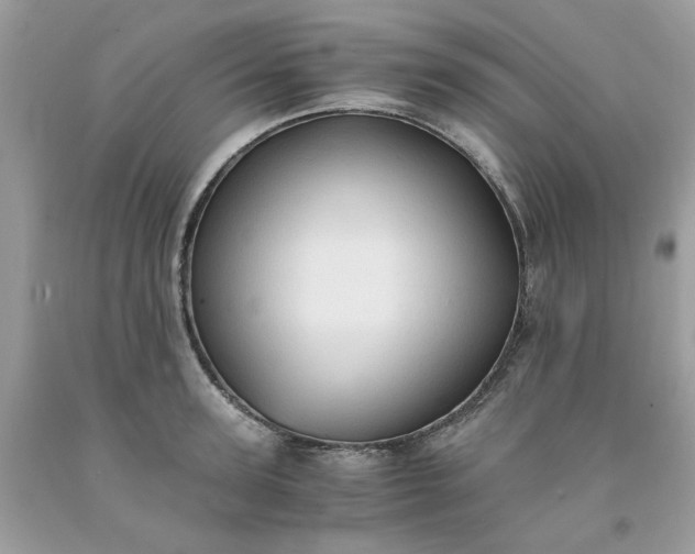 X0000091650947200709060956