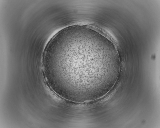 X0000091650948200709060956