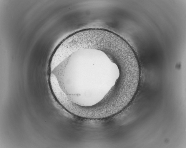 X0000091650950200709060956