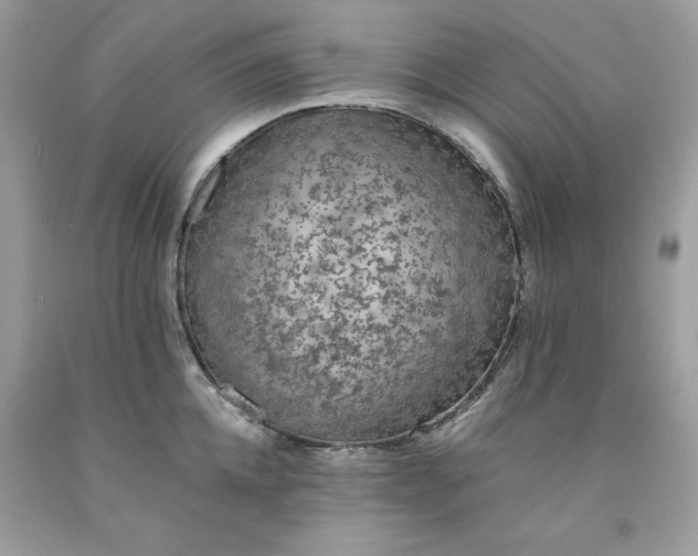 X0000091650952200709060956