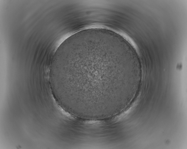 X0000091650953200709060956