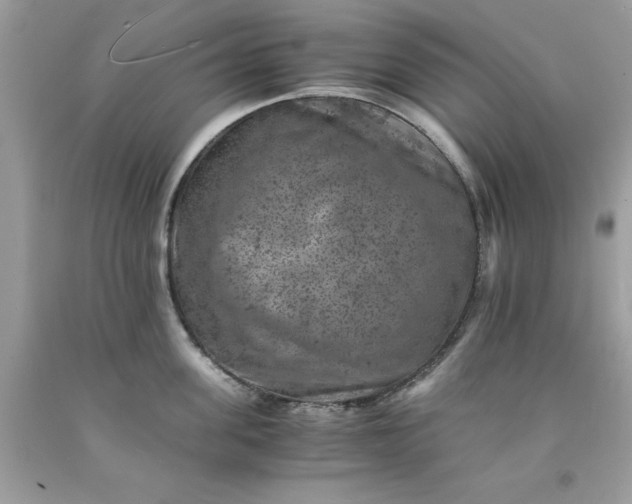 X0000091650955200709060956