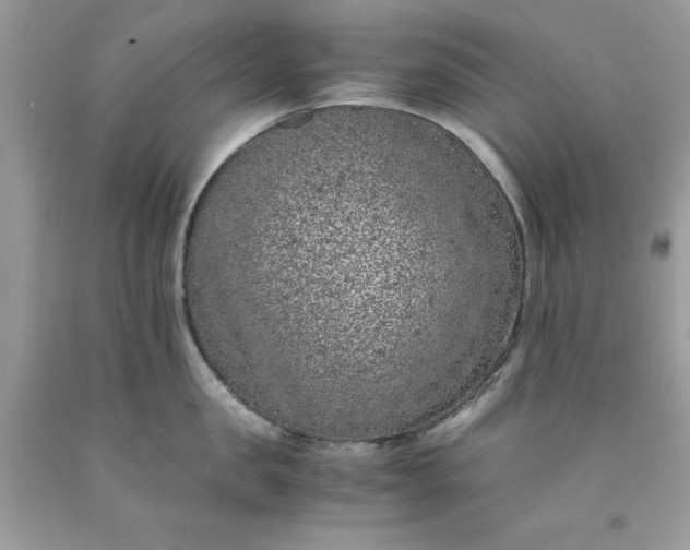 X0000091650957200709060956