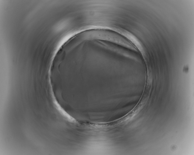 X0000091650958200709060956