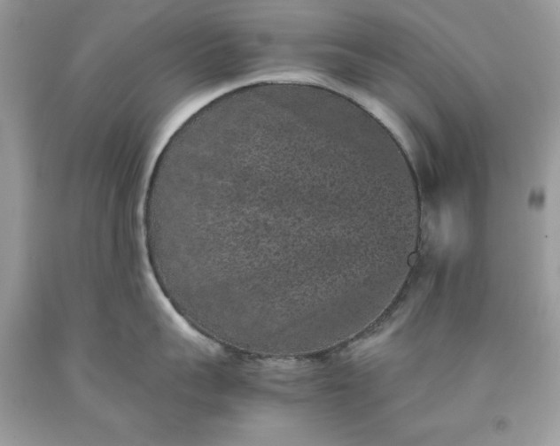 X0000091650959200709060956