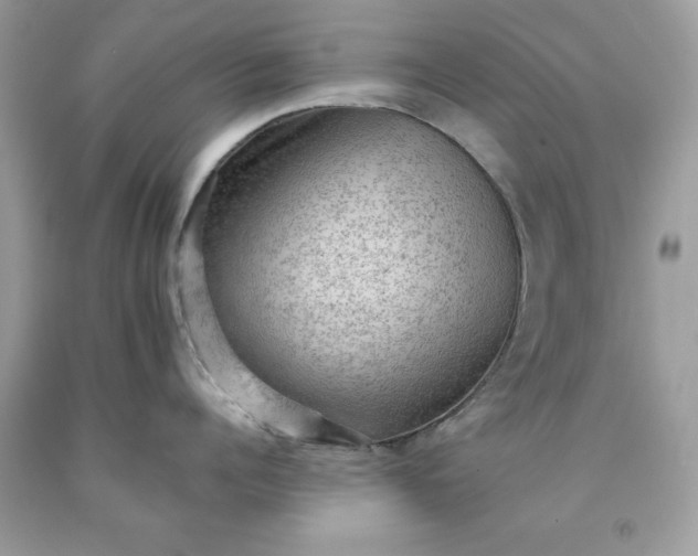 X0000091650960200709060956