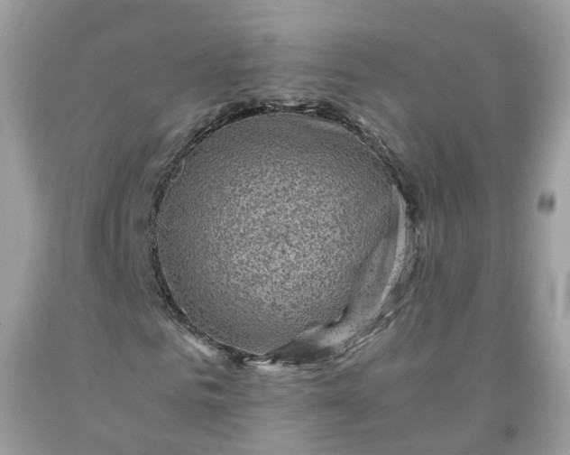 X0000091650961200709060955