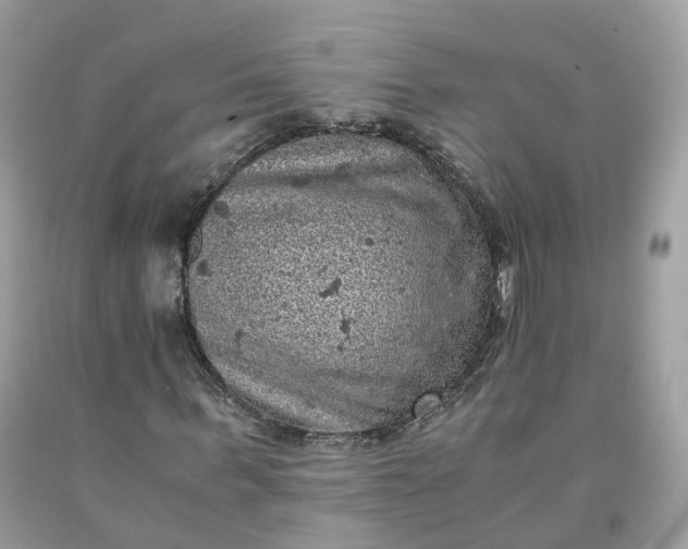 X0000091650963200709060955